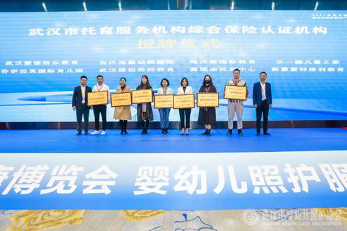 华中首家 武汉市婴幼儿照护协会成立，开启教育咨询服务新篇章